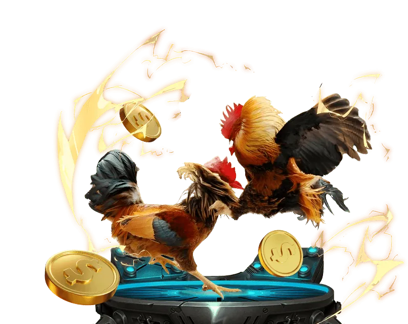 Mẹo cược thể thao viva bong88